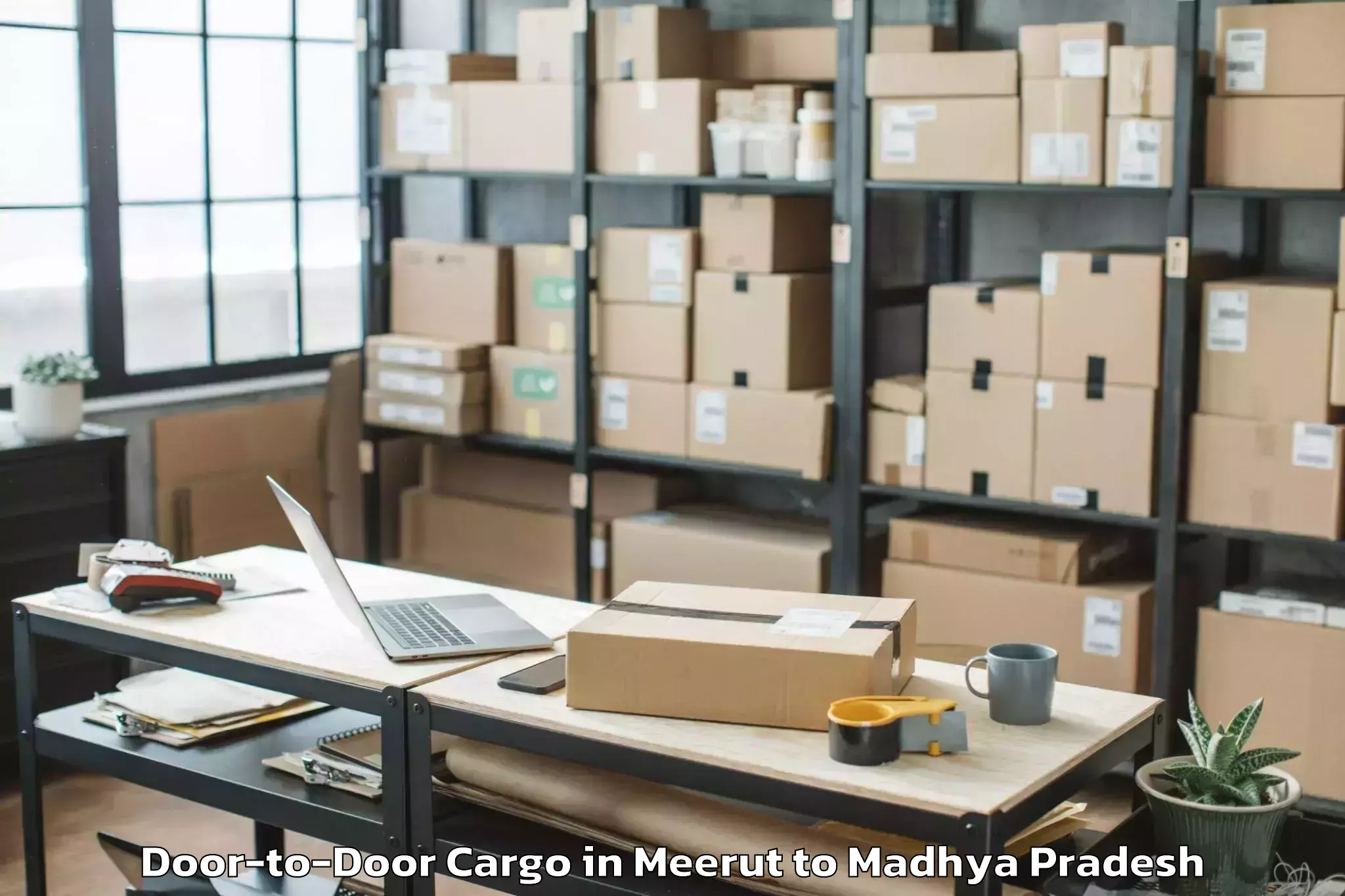 Get Meerut to Shajapur Door To Door Cargo